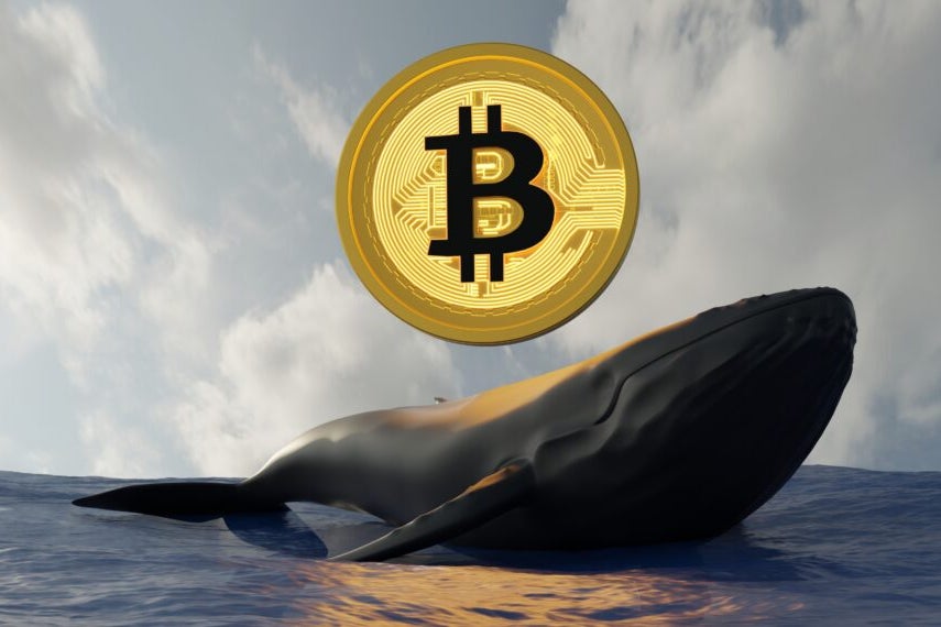 bitcoin-whale-transfer-207-million