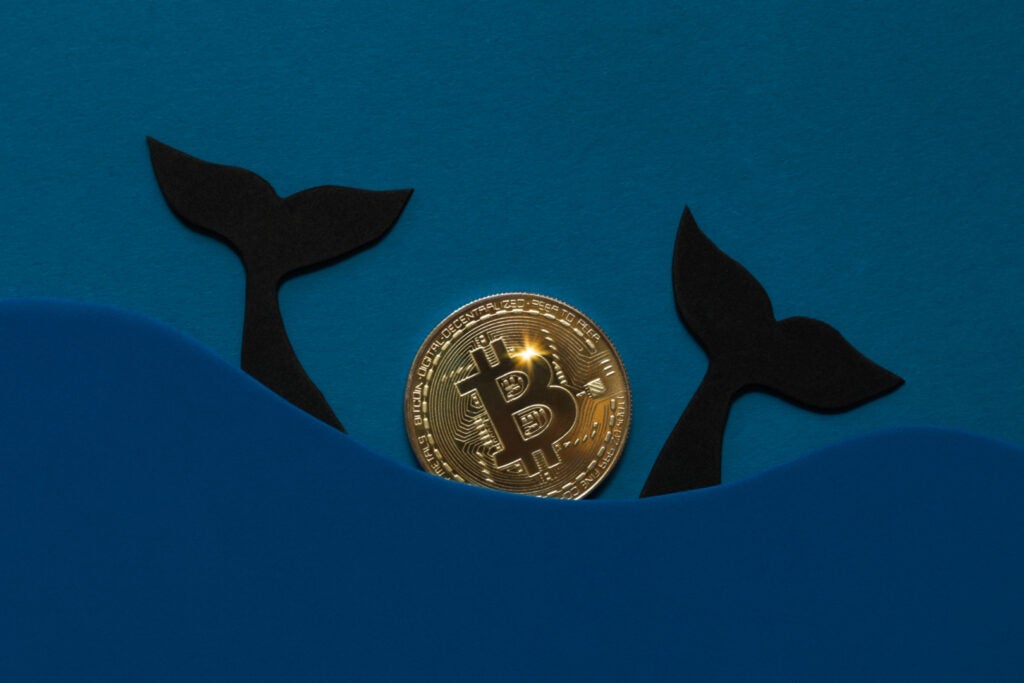 bitcoin-whales-vs-retail