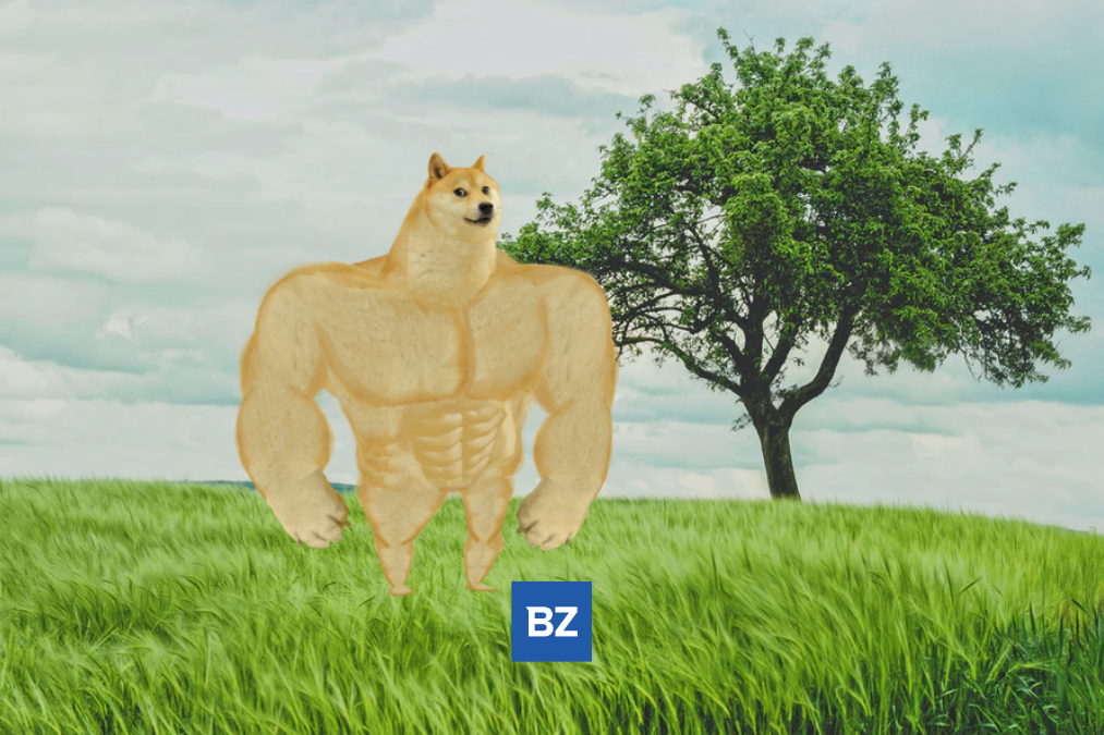 dogecoin-price-surge