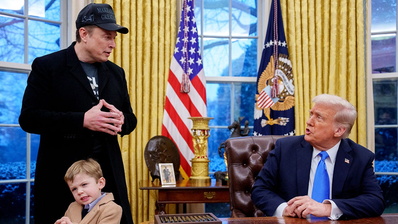 trump-administration-elon-musk-legal-challenges